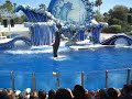 Sea World Dolphin Show