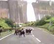 @the Temghar Dam
