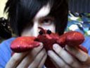 Socks + Boxers = Saws and Lobsters
