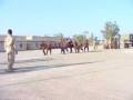 videos de Training ICDC