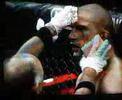 elite-combat-sports.html