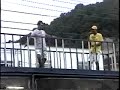 O duque de ouro (pica-pau e aranha)