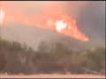 Mark Webb Forest Fire Mark Webb Forest Fire