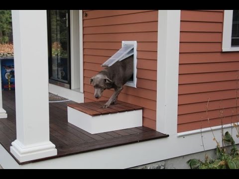 how to insulate dog door