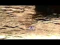 Handel: Water Music (Opus Arte)