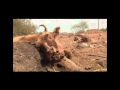 SEQUIA EN EL ALTIPLANO.mp4
