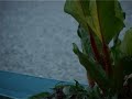Tempestade Tropical