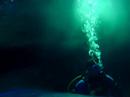 Shark dive