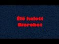 Biorobot