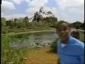 Disney-411-Mt-Everes