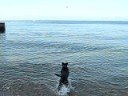 gaja and paxx on the shore 2