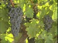 Imagenes rurales Castilla la Mancha