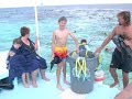 2008 Carnival Cruise