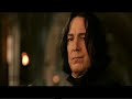 tribute-to-fresh-dumbledore-6.html