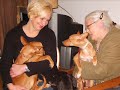 Over the Rainbow -vertrek en aankomst adoptiehonden La Linea