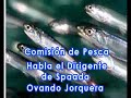 Comision de Pesca habla Dirigente de Spaada Ovando Jorquera