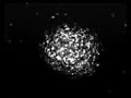 Spiral attractor in amoebas