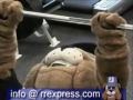 YouTube - Spike Texas Mamma Jamma Ride