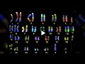 dna.wmv