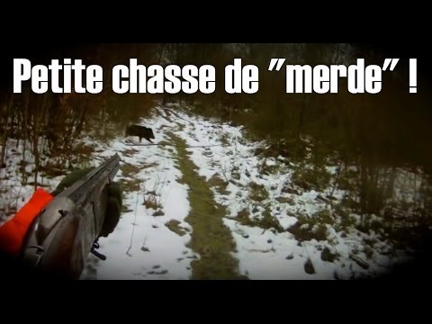 chasse - après une journée de chasse chez l'breton, Dindin m'invite le lendemain matin à faire un tour dans le bois du daron (20ha) avec l'équipe habituelle pour tire...