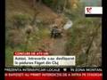 videos de VANEAZA LUPUL 2008 - RealitateaTv