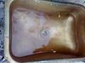 Efecto Coriolis. Hemisferio NORTE