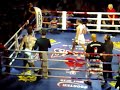 Germaine de Randamie vs Tom Waes   Part 3
