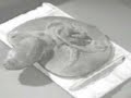 chatterbox: beuys redet manchmal echt nur mist. chatterbox: beuys redet manchmal echt nur mist.