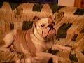 bulldog inglese