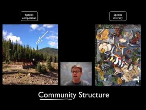 community - 046 - Communities Paul Andersen starts by explaining the major classification terms in ecology. He then explains how a community can be measured by species c...