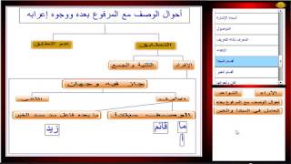 أحوال الوصف مع المرفوع بعده / التطابق في التثنية والجمع