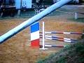 videos de lustige stute gp 1m25