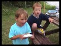 A fish out of water