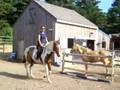 Doc Bars Risky Bandit at Lee High Farm