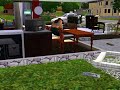 sims