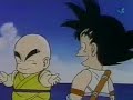 peladosrock: maestro roshi (morbo porno a77aque)