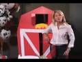 How to Decorate a Farm Party - Shindigz