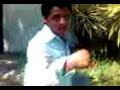 porno el en cch