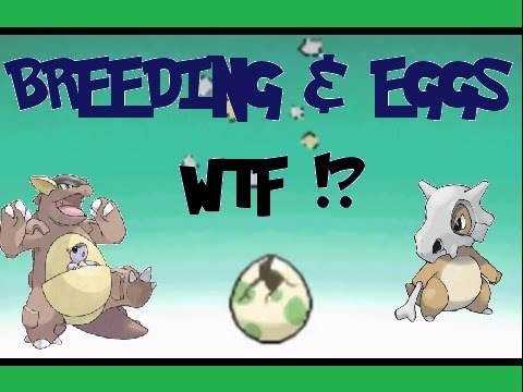 how to hatch eggs in pokemon snap