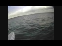 Cap Coz Slalom à plus de 30nds !