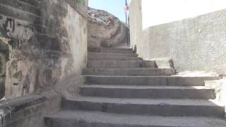 مخيم الحصن 14 10