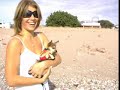 Dog daze of San Carlos - Canine Center Dog daze of San Carlos - Canine Center