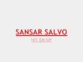 SANSAR SALVO   H�T EM UP
