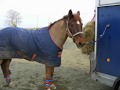 videos de OTECC 			