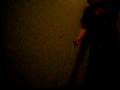 videos de long string vid 002