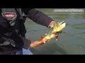 Pesca con Posada Paso de la Patria (Corrientes, Argentina) #2 - Zona Safari TV Pesca con Posada Paso de la Patria (Corrientes, Argentina) #2 - Zona Safari TV
