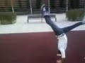acrobacia paloma acrobacia paloma
