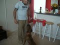 See Video