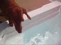 Swimming Wiener Dog