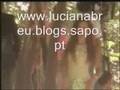 UMA AVENTURA por LUCIANA ABREU 2006 - vídeo de filmagens